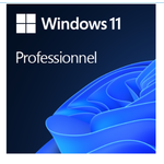 Windows 11 Pro, OEI DVD 64Bit English Version, 1 PC, Original Activation Key, Lifetime License