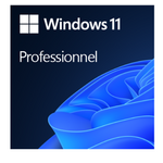 Windows 11 Pro, OEI DVD 64Bit English Version, 1 PC, Original Activation Key, Top 5 online stores' prices