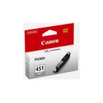 Canon CLI451GY Grey Ink Cartridge (CLI-451GY)