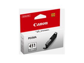 Canon CLI451GY Grey Ink Cartridge (CLI-451GY)