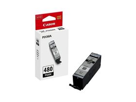 Canon PGI-480PGBK Pigment Black Ink Cartridge