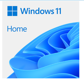 Windows 11 Home, OEI DVD 64Bit English Version, 1 PC, Original Activation Key, Lifetime License