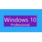 Microsoft Windows 10 Professional OEM 64 bit Operating System, Top 5 online stores' prices